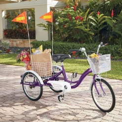 2-Pack Bike Safety Flag