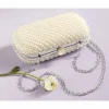 Pearl Embellished Clutch