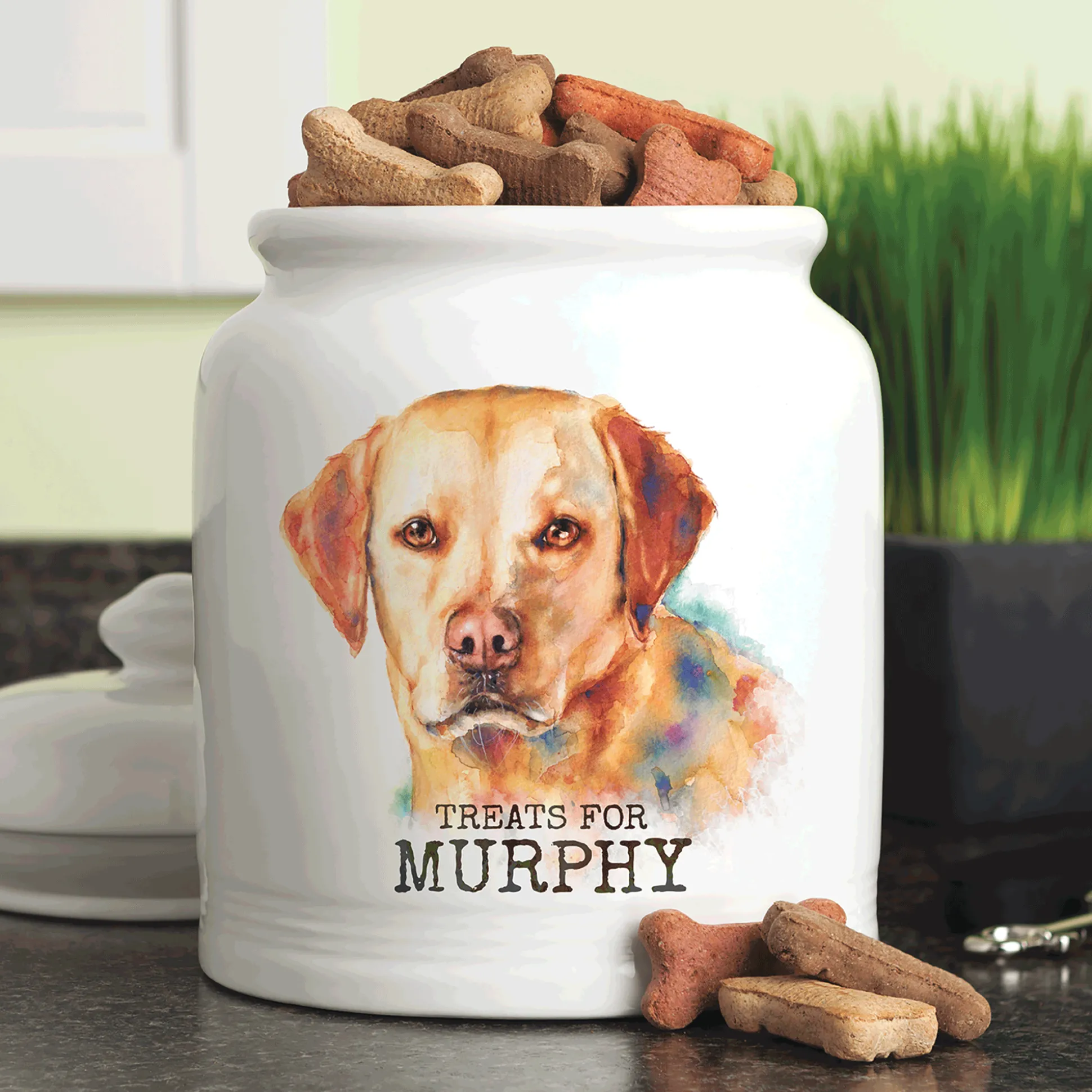 Personalized Pet Treat Jar