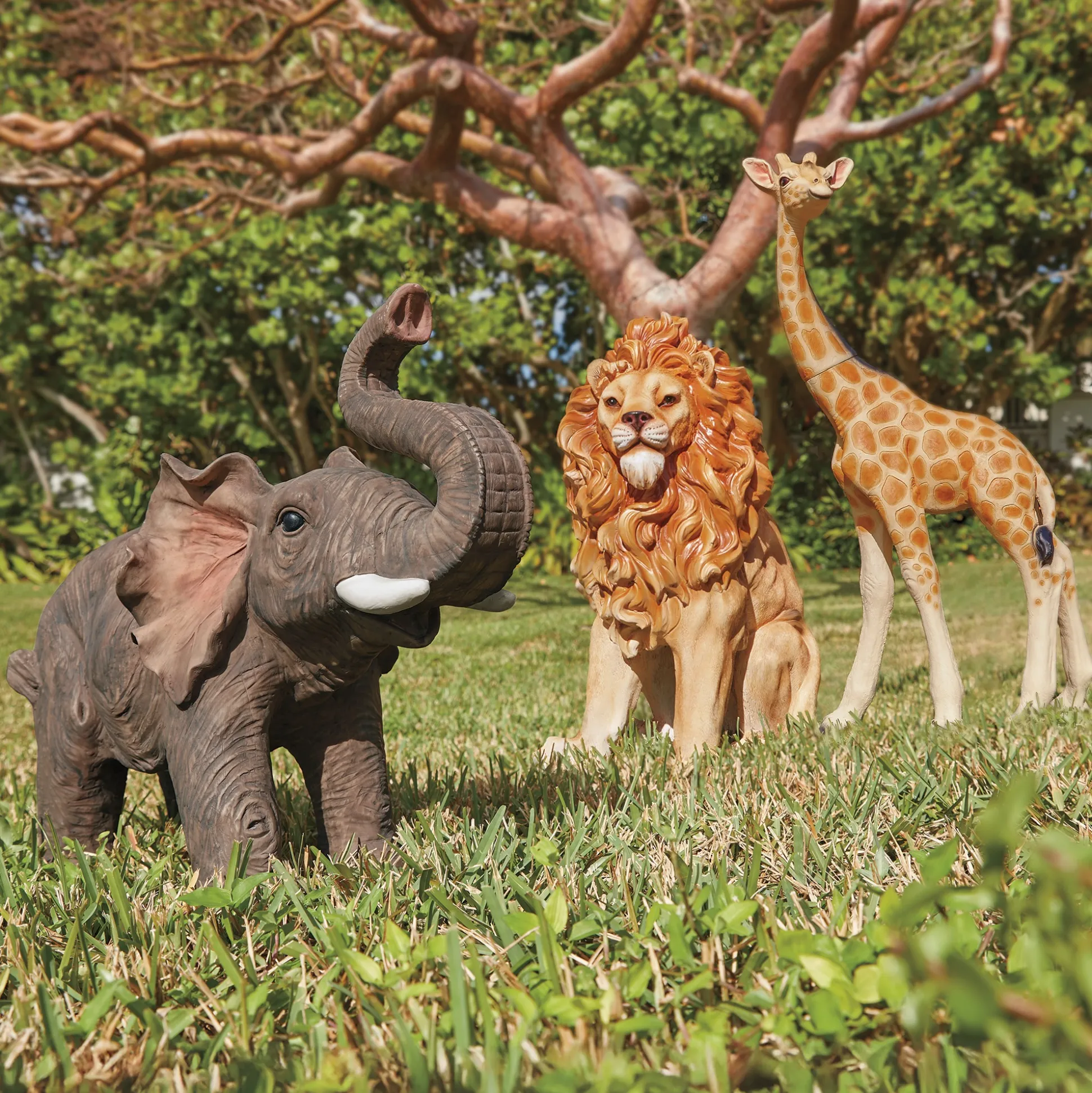 Safari Animals
