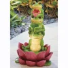 Serene Frog Fountain