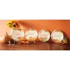 Set of 4 Assorted Harvest Plates