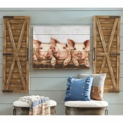 Set of 2 Barn Doors