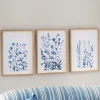 Set of 3 Blue Floral Prints