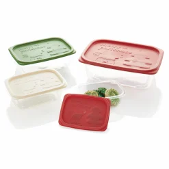 Set of 4 Christmas Leftover Containers