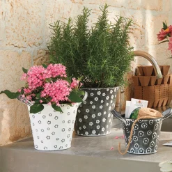 Set of 3 Daisy Buckets