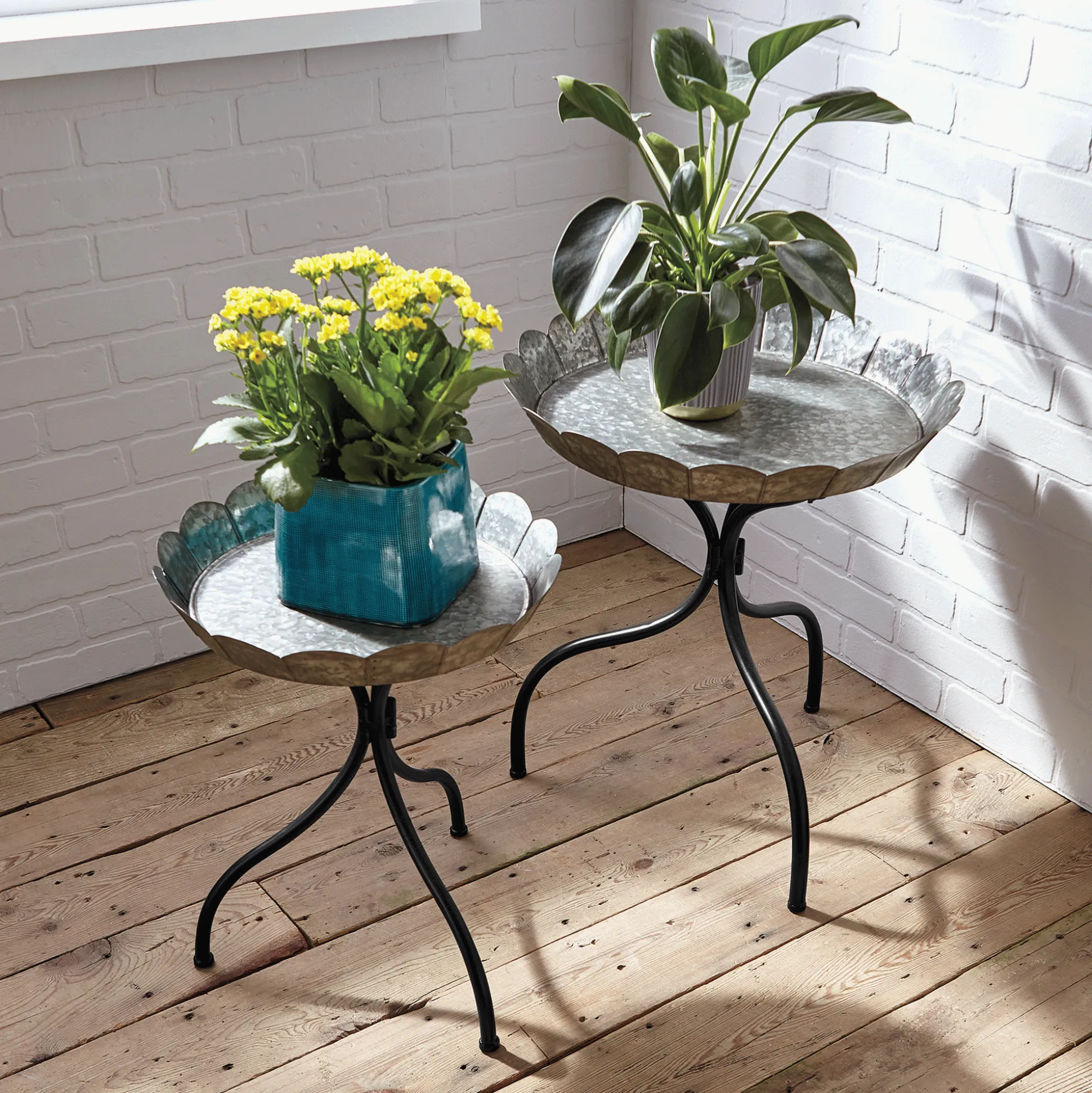 Set of 2 Galvanized Scalloped Plant Stands