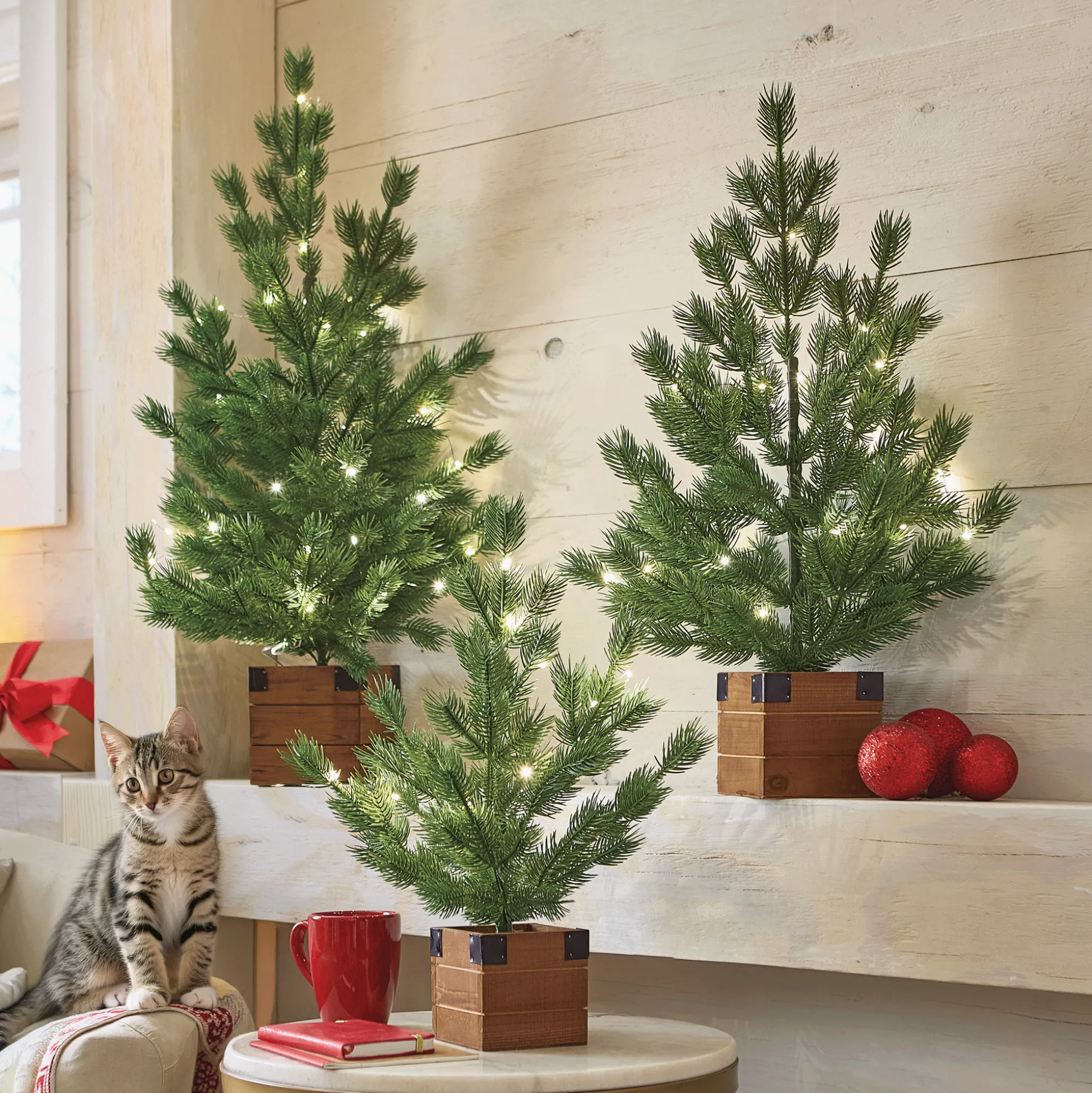 Set of 3 Lit Rustic Trees in Wood Boxes