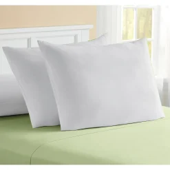Set of 2 Pillows