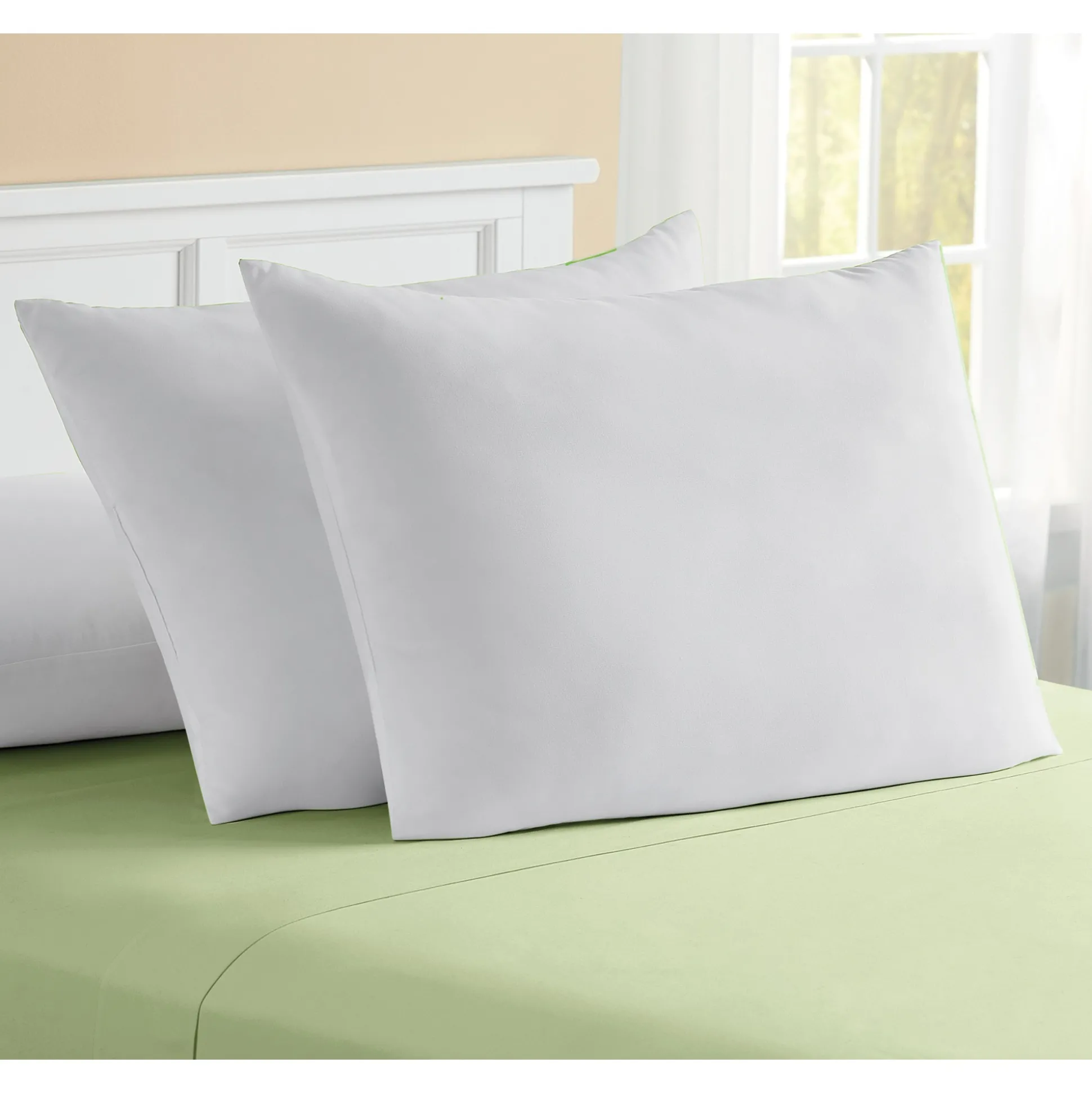 Set of 2 Pillows