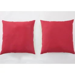 Set of 2 Pillows