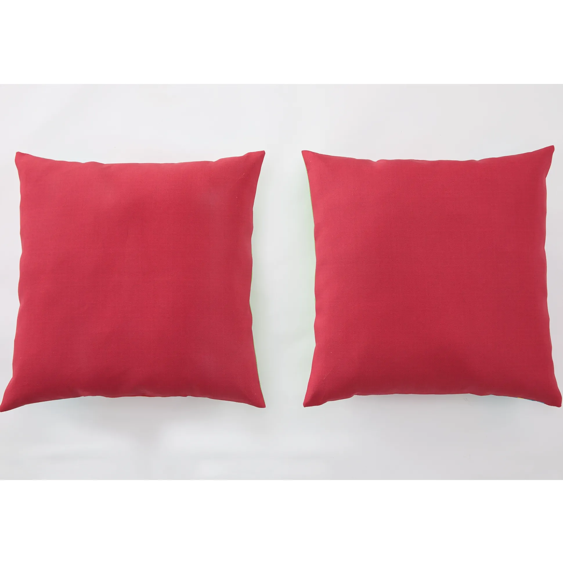 Set of 2 Pillows