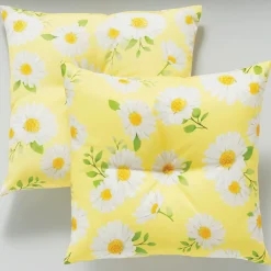 Set of 2 Pillows