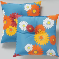 Set of 2 Pillows