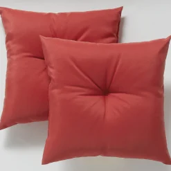 Set of 2 Pillows