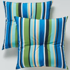 Set of 2 Pillows