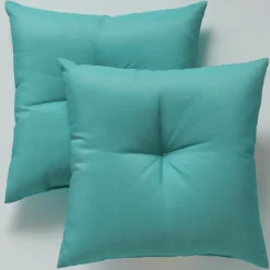Set of 2 Pillows