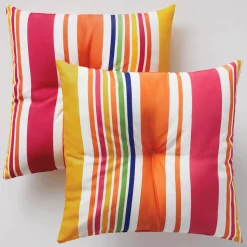 Set of 2 Pillows
