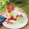 Set of 6 Popsicle Molds