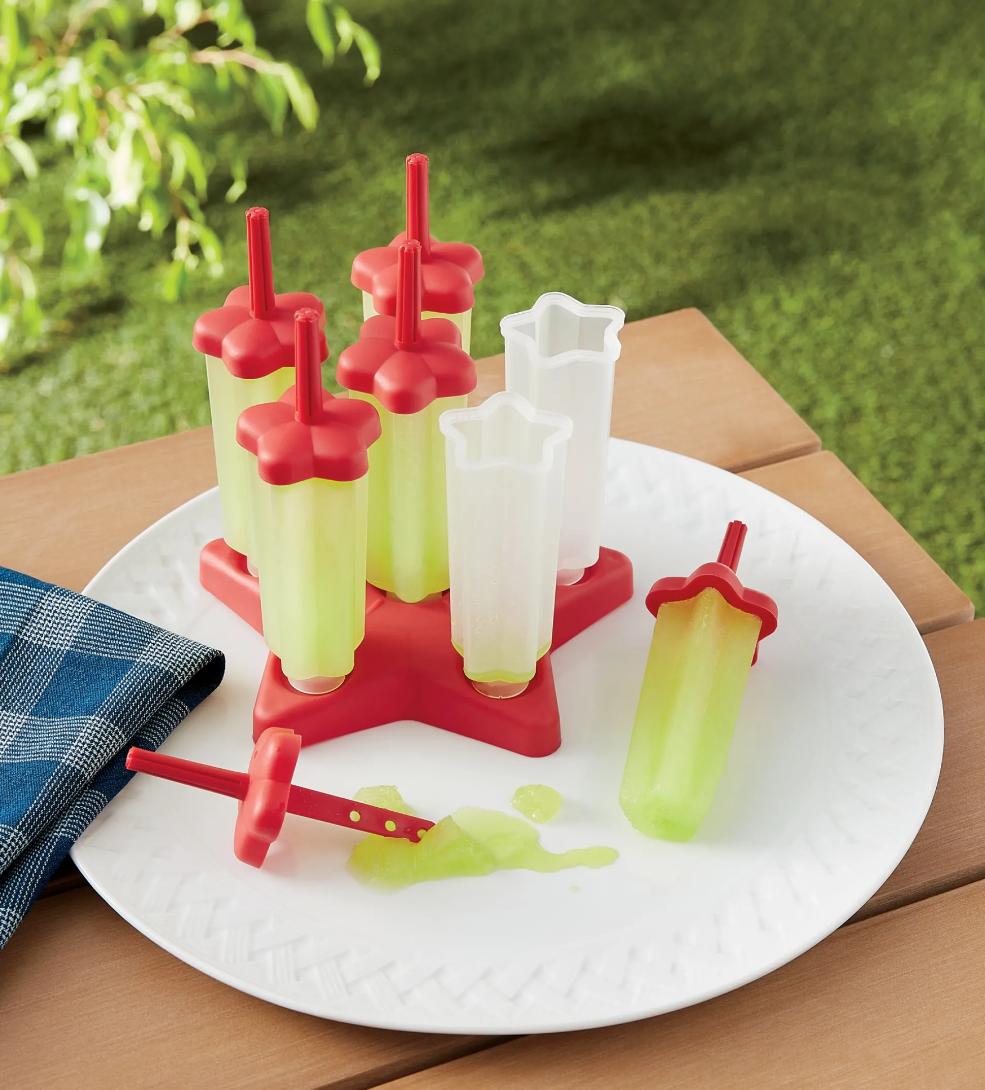 Set of 6 Popsicle Molds