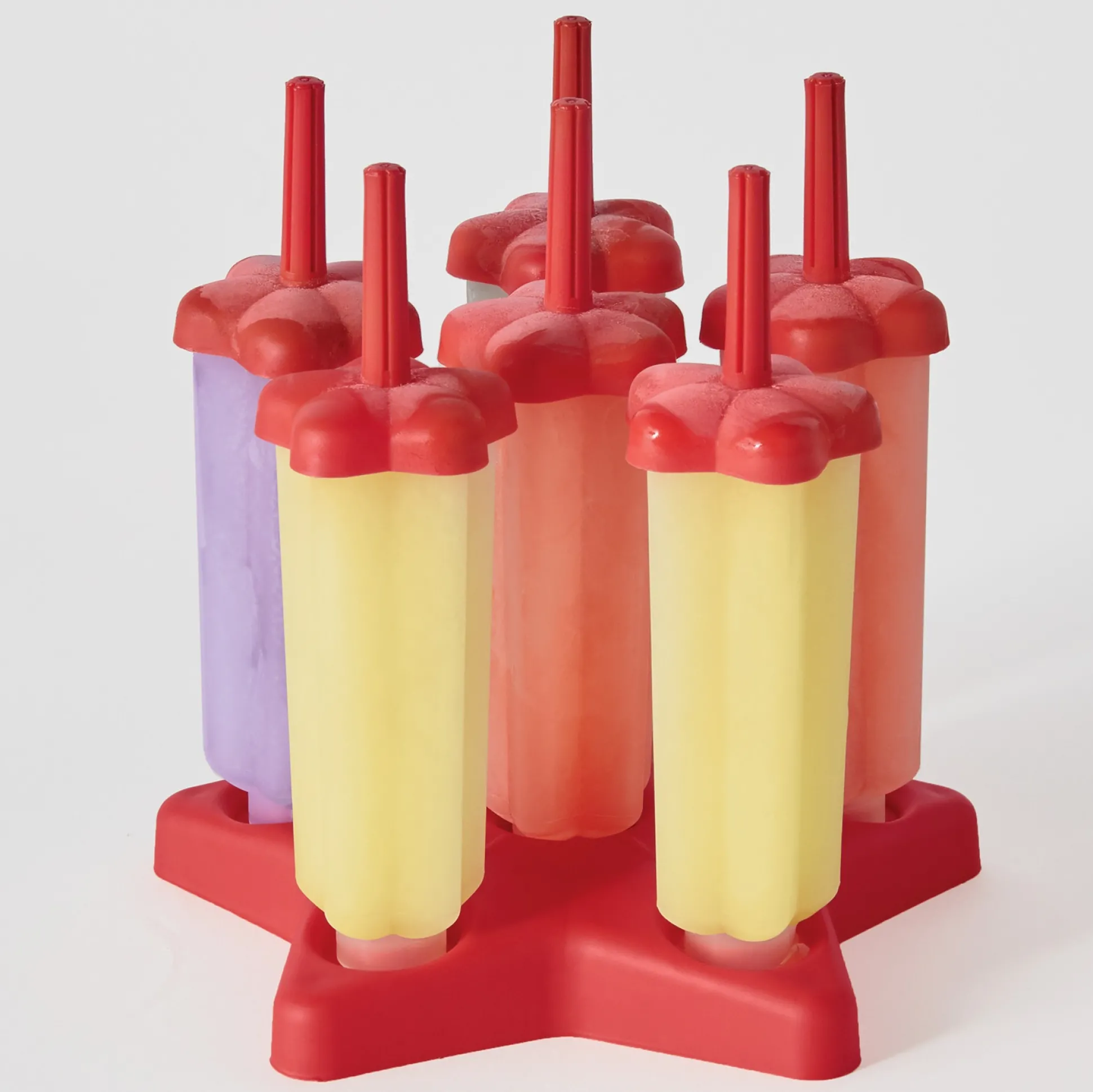 Set of 6 Popsicle Molds