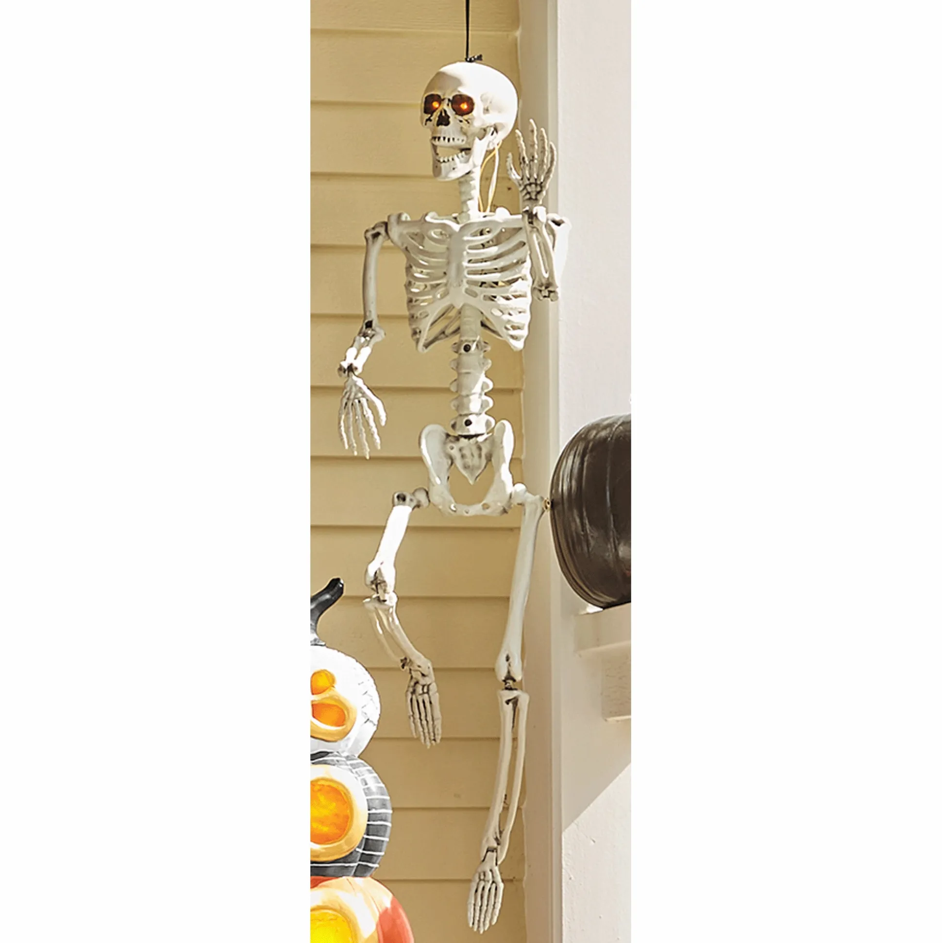 Set of 2 Posable Skeletons