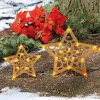 Set of 2 Solar Trees or Stars