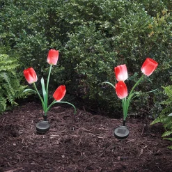 Set of 2 Solar Tulip Lights