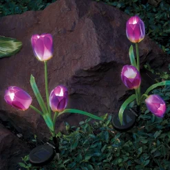 Set of 2 Solar Tulip Lights
