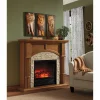 Set of 3 Wild Cats Wall Art