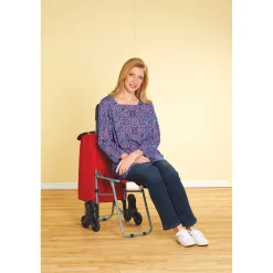 Shopping Trolley with Seat