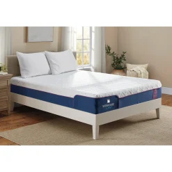 Signature Sleep Memoir 10" Memory Foam Mattress