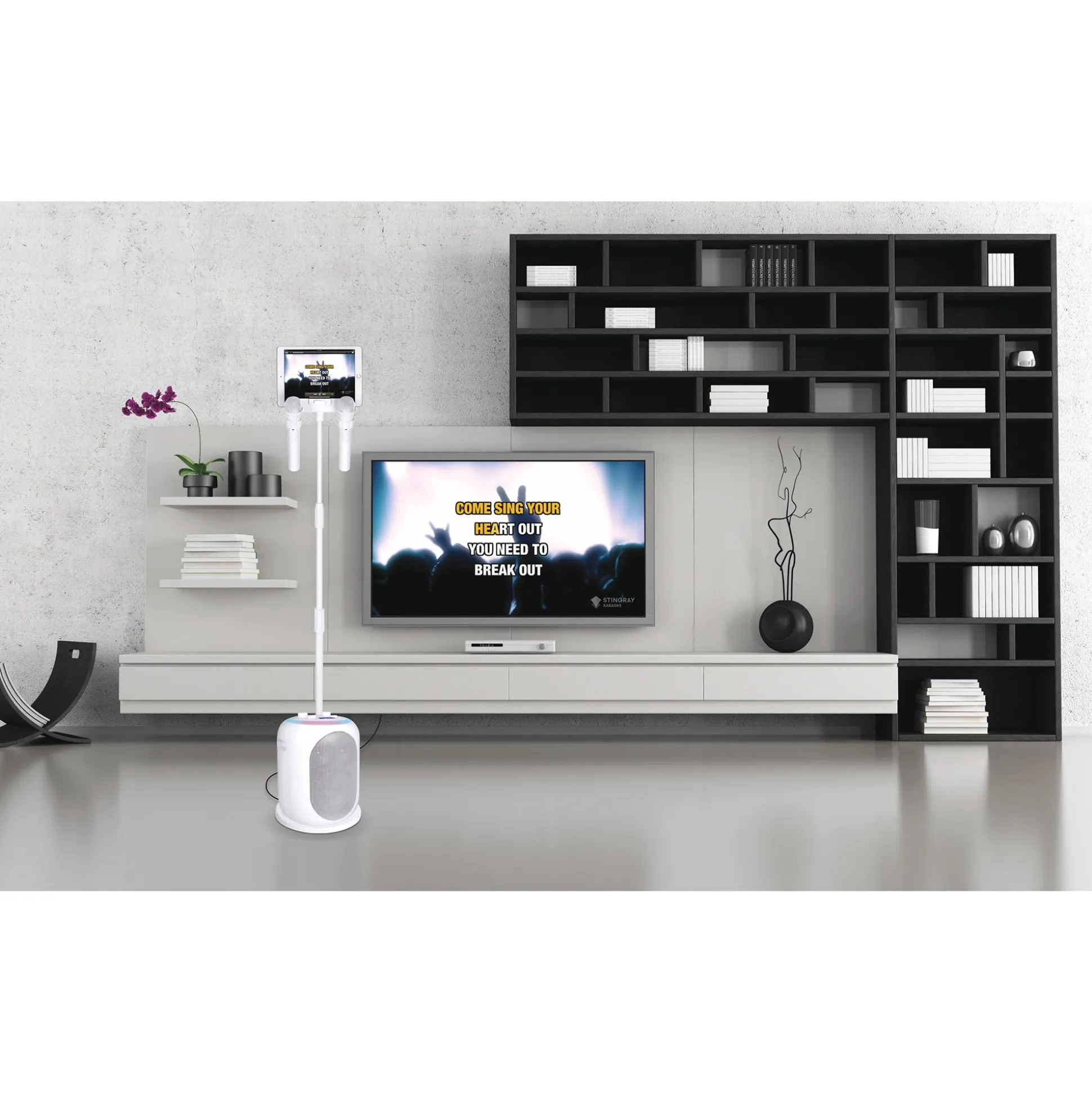 Singing Machine Pedestal Wireless Karaoke System