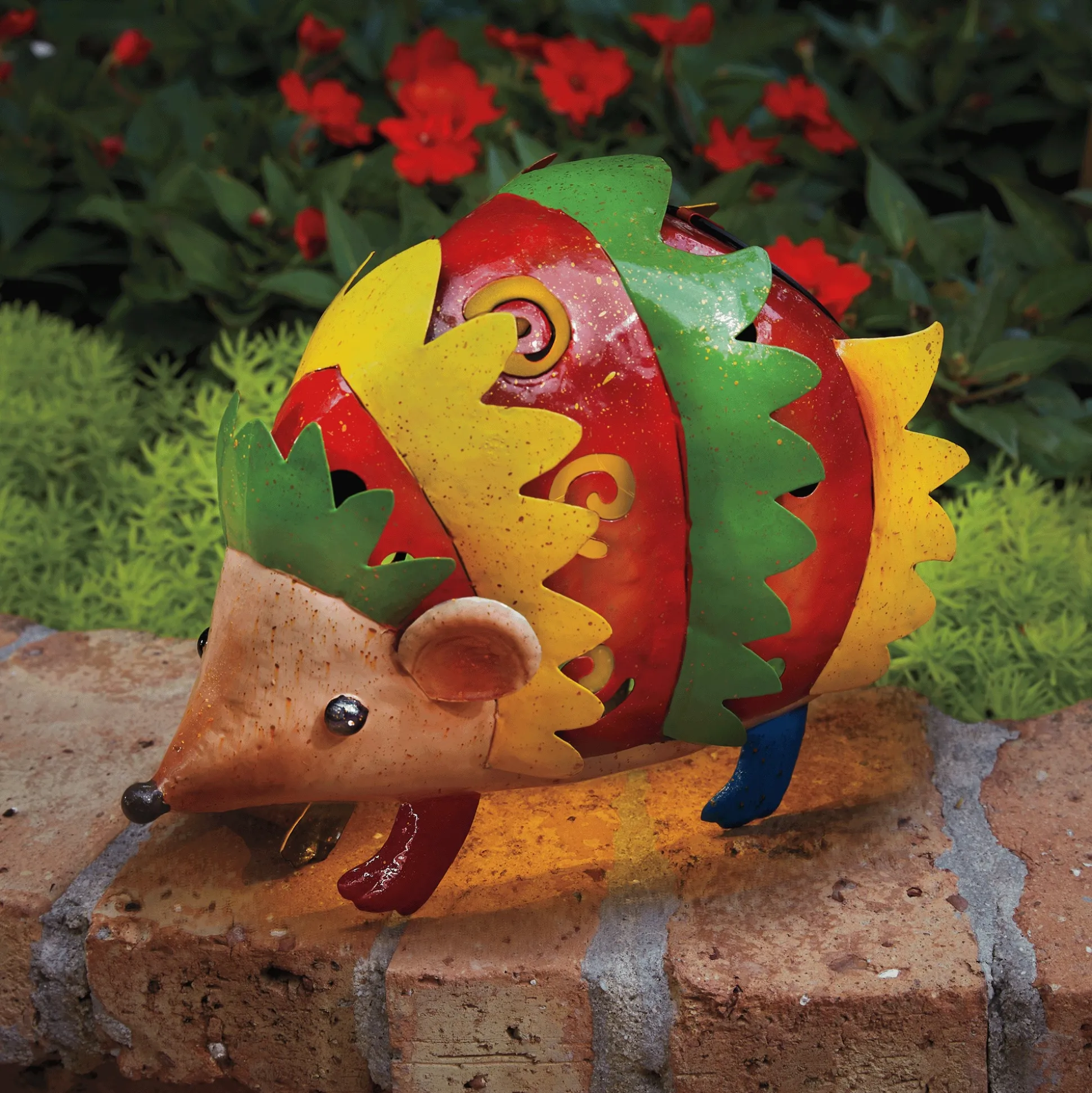 Solar Colorful Hedgehog