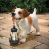 Solar Dog with Lantern