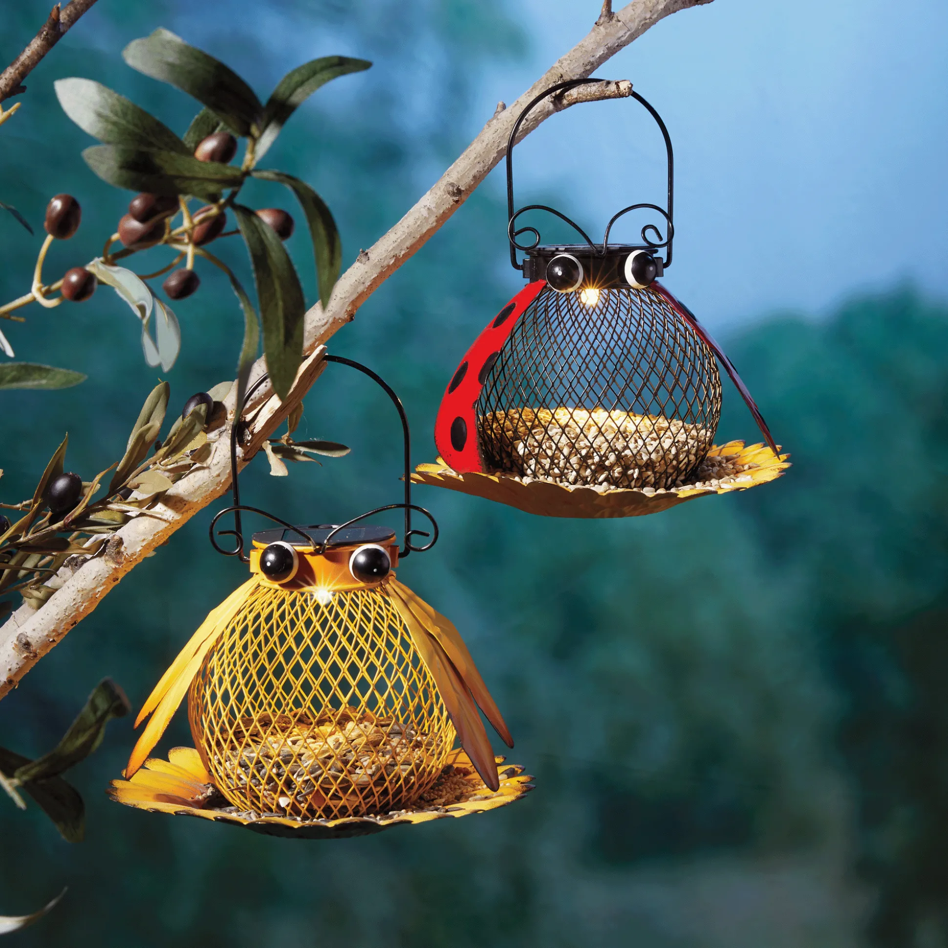 Solar Light Bird Feeder