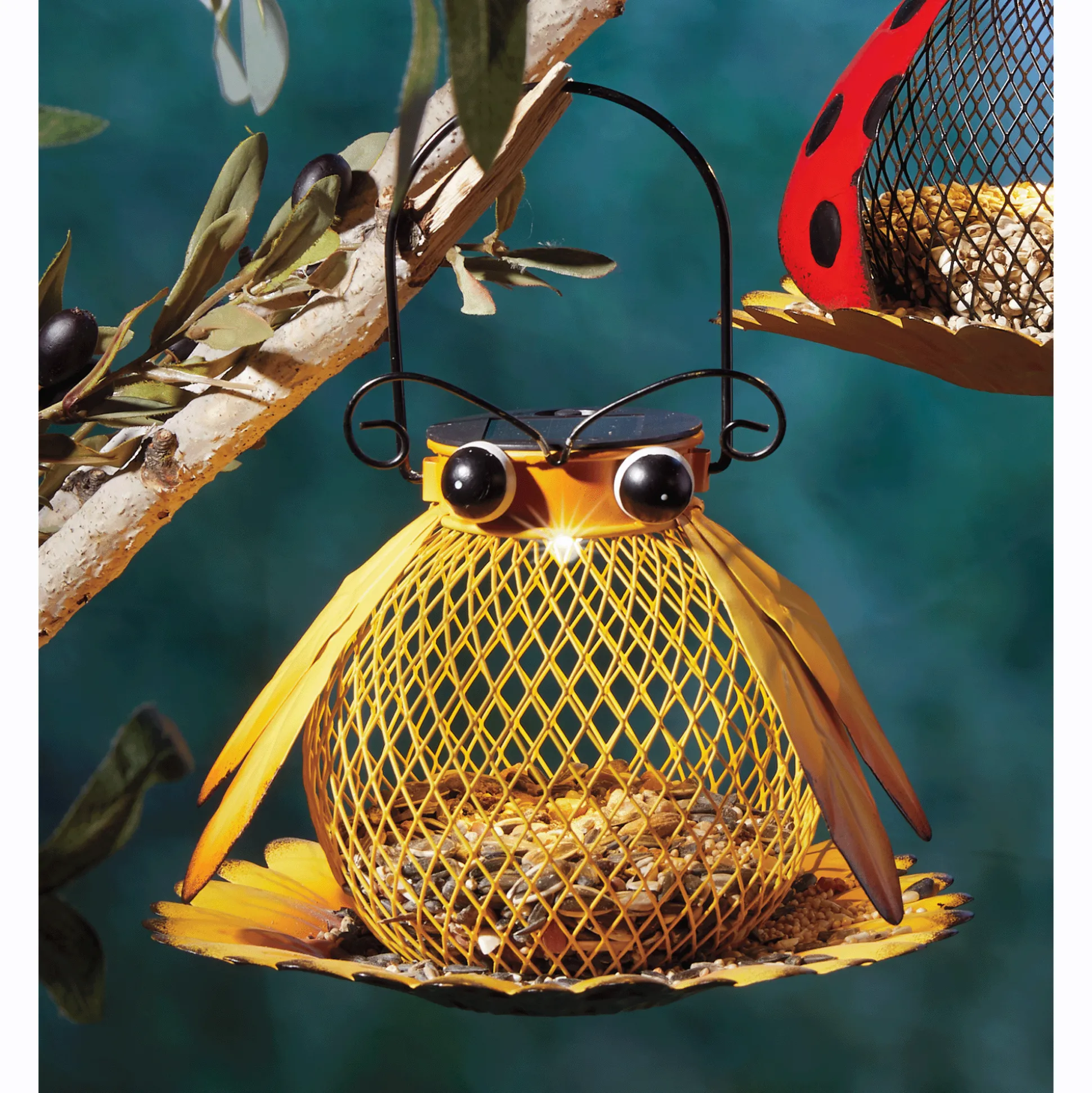 Solar Light Bird Feeder