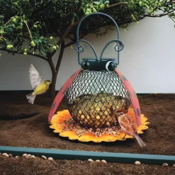 Solar Light Bird Feeder