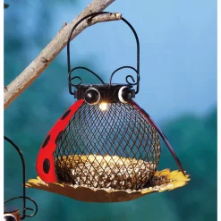 Solar Light Bird Feeder