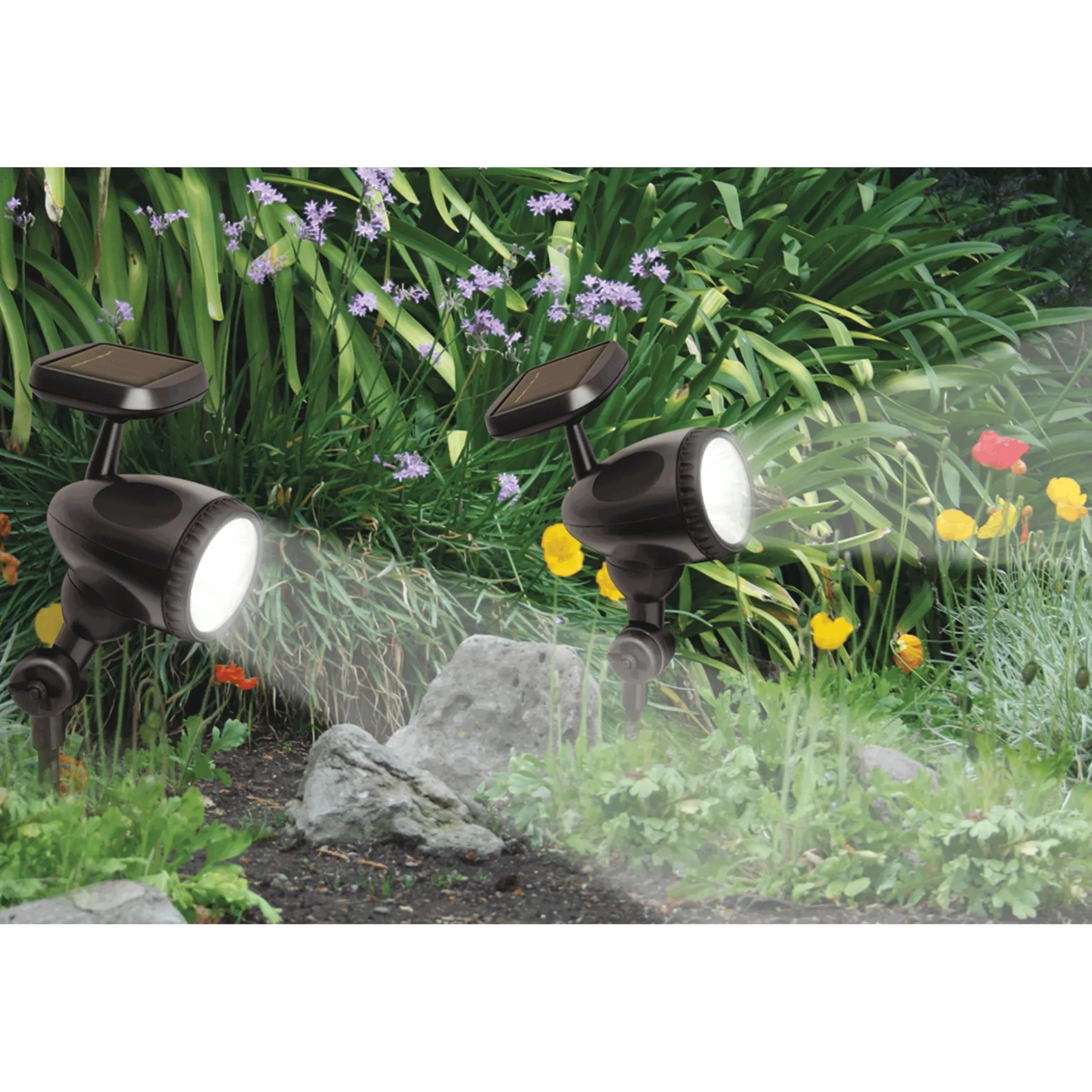 Solar Spotlight