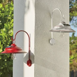 Solar Wall Lantern