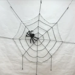 Spider and Web