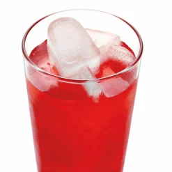 Spring Shaped Ice Cube Trays