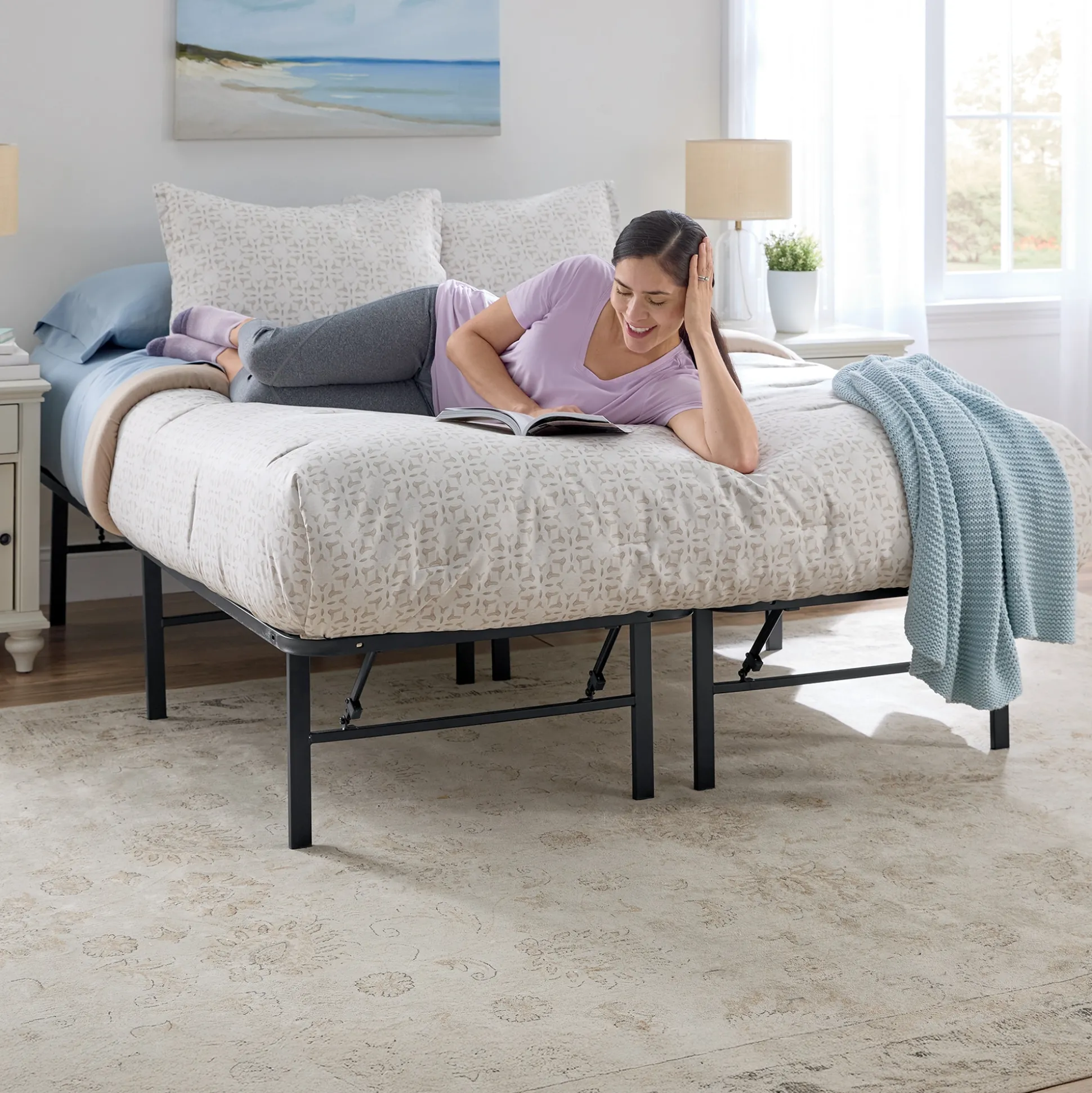 Steel Platform Bed Frame