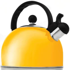 Stovetop Whistling Tea Kettle