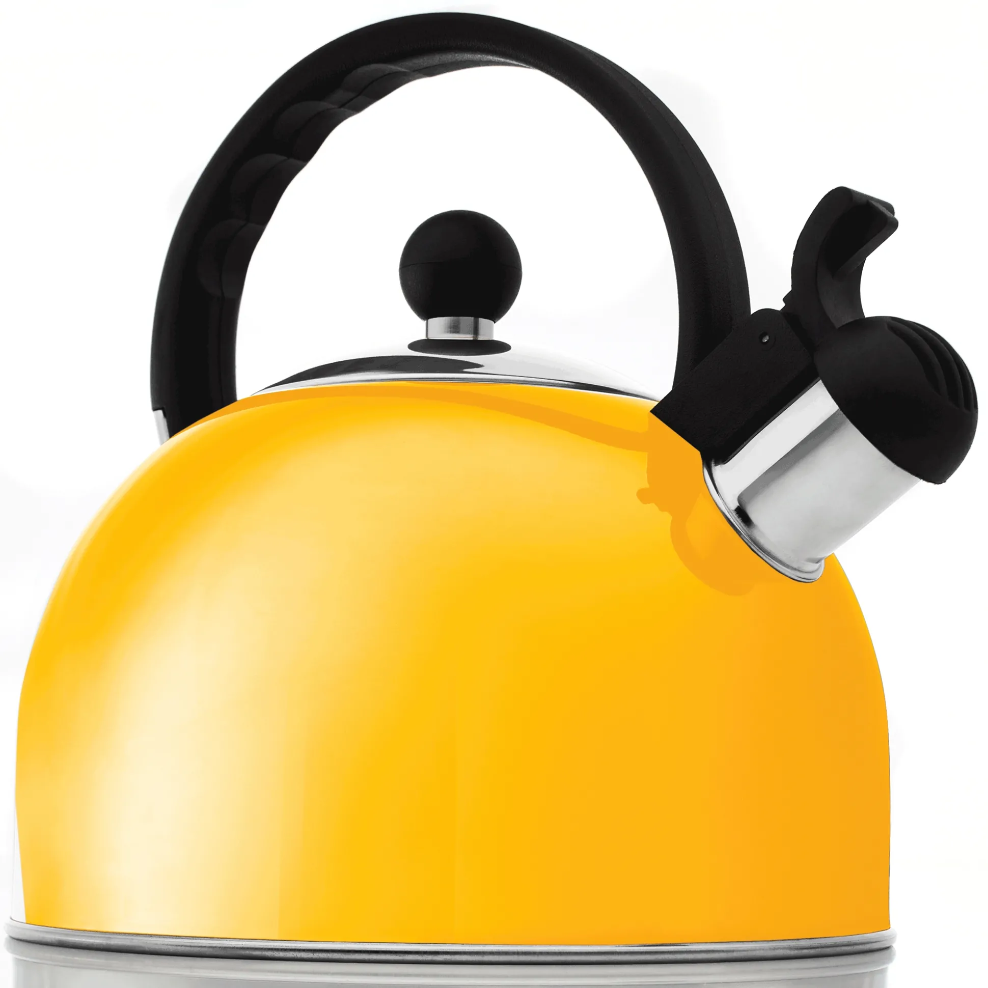 Stovetop Whistling Tea Kettle