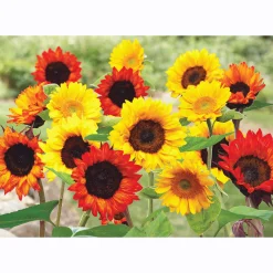 Sunflower Flower Mat