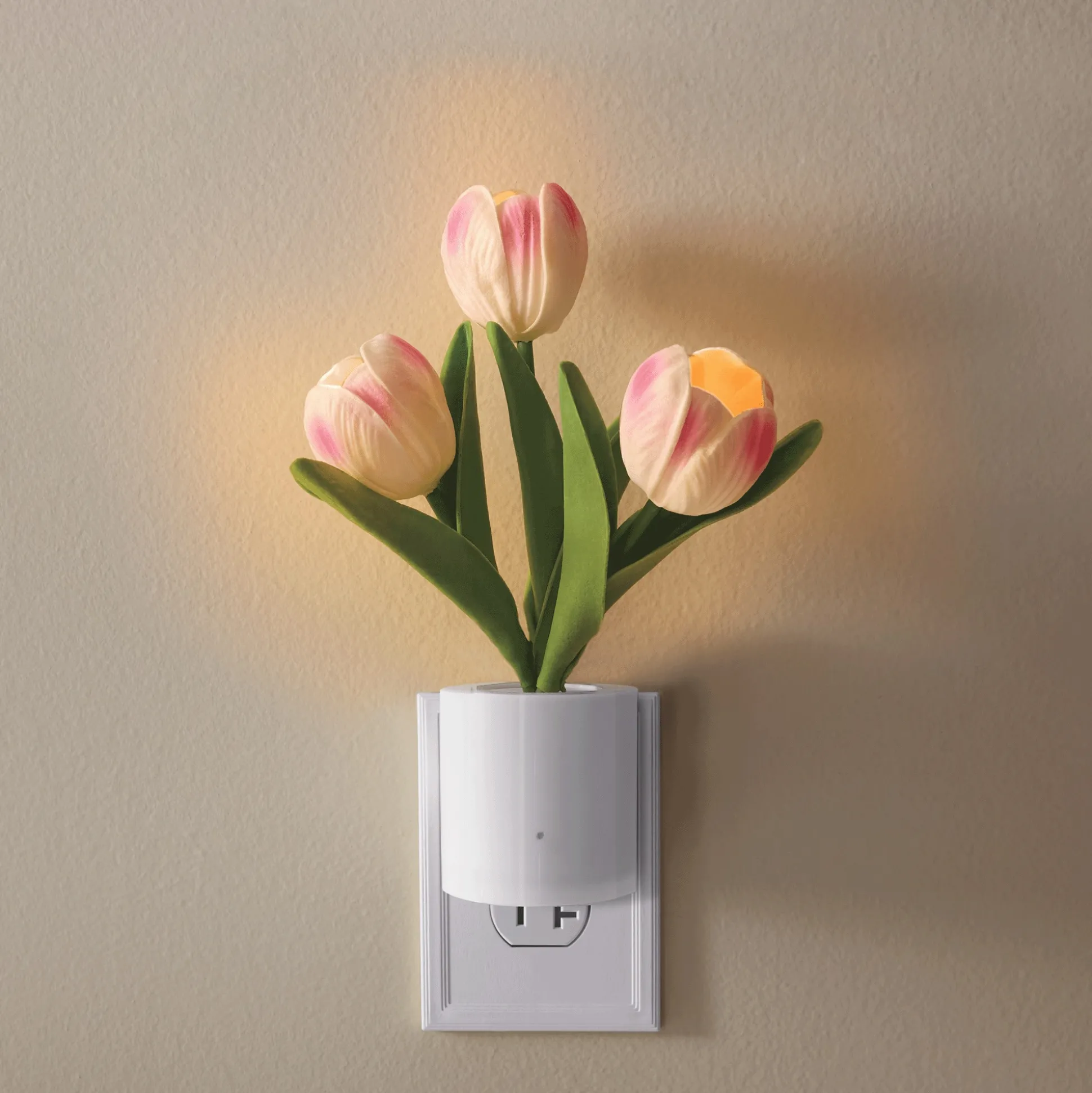 Tulip Night-Light