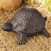 Turtle Key Hider