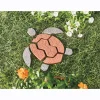 Turtle Stones